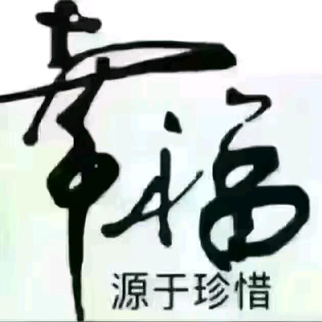 招财猪wy