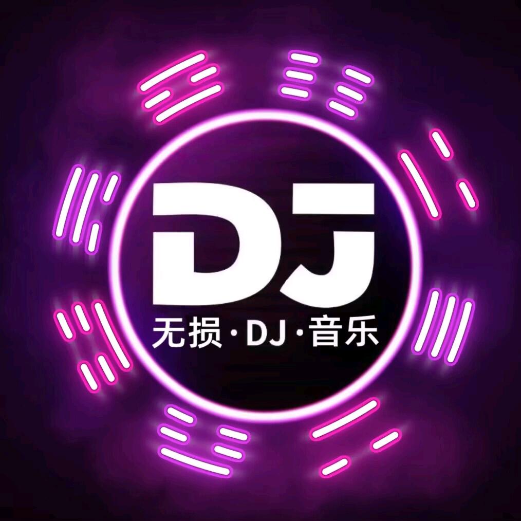 无损.DJ.音乐5【U盘】