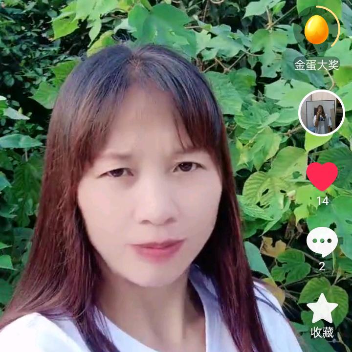 秋天的晚风