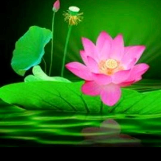 静慧（修心，清心）