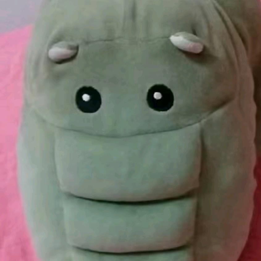 小毕爱喝周