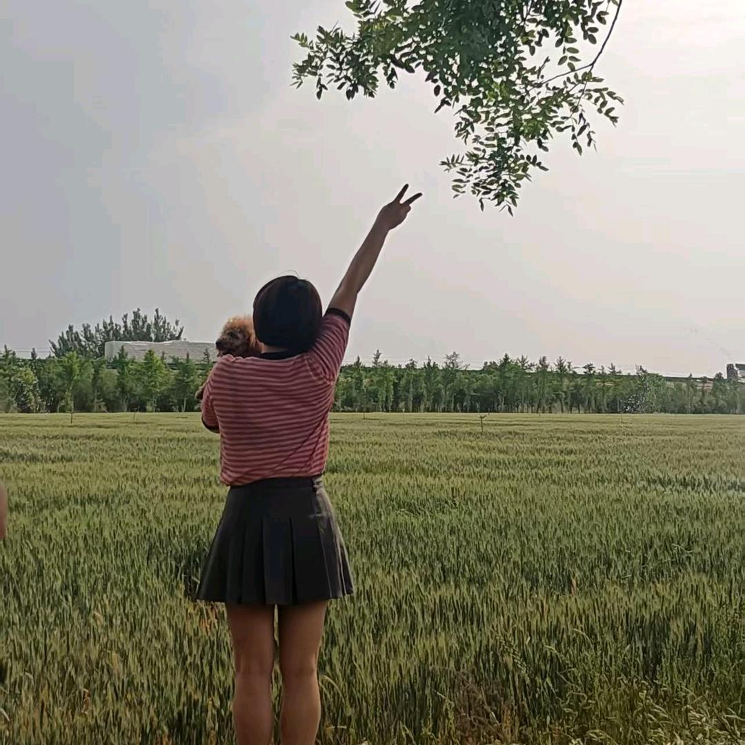 婷婷