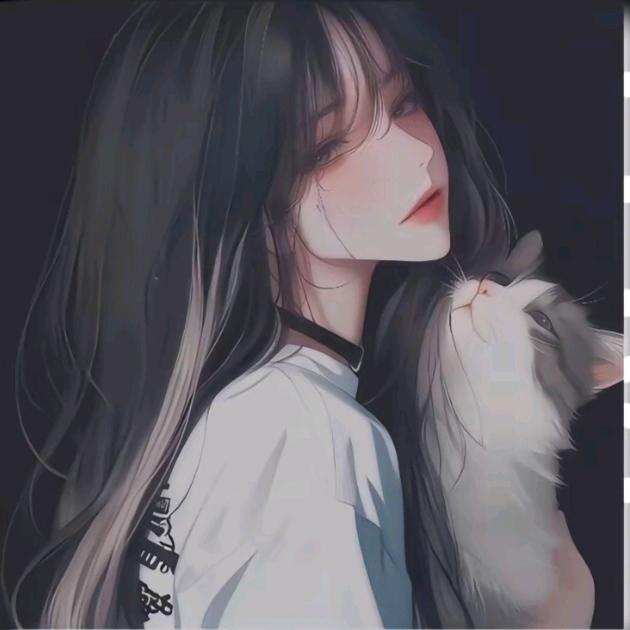 浅(有关必回)版