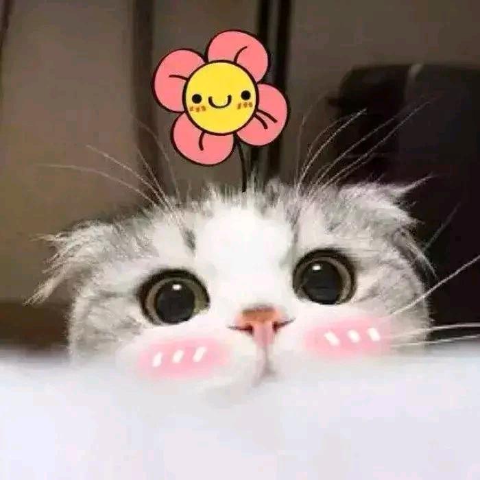 大米粒🥰