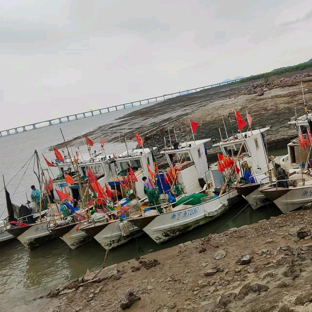 与蟹同行三门野生青蟹