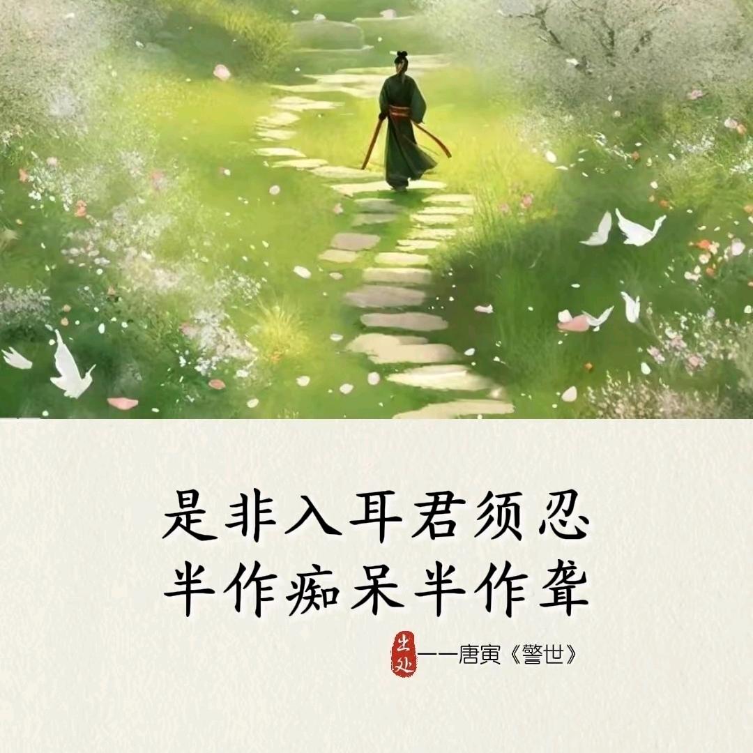一生所爱🌊