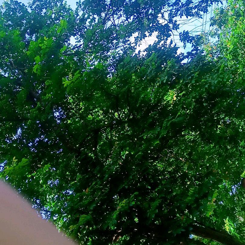 天在下雨我在想你