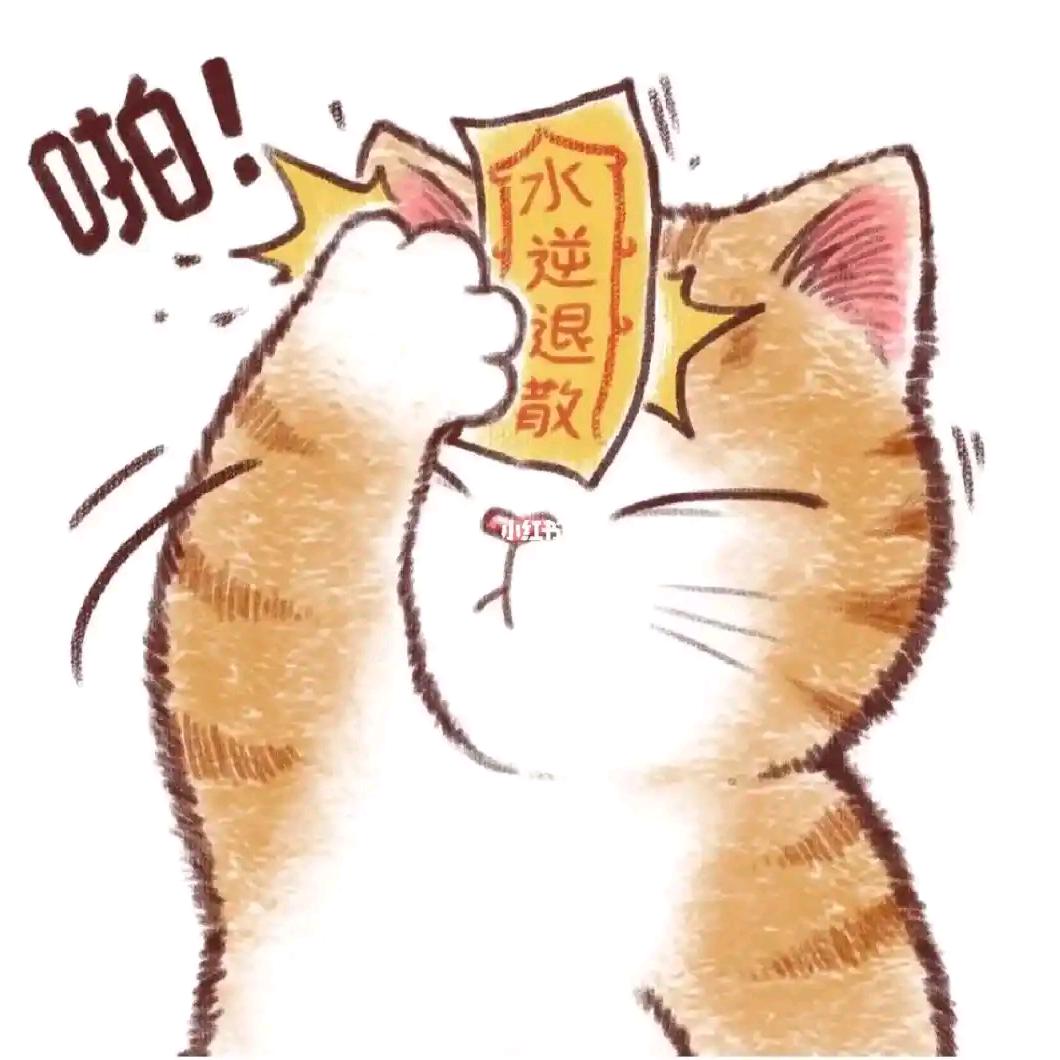 东北人在义乌＜电商版＞