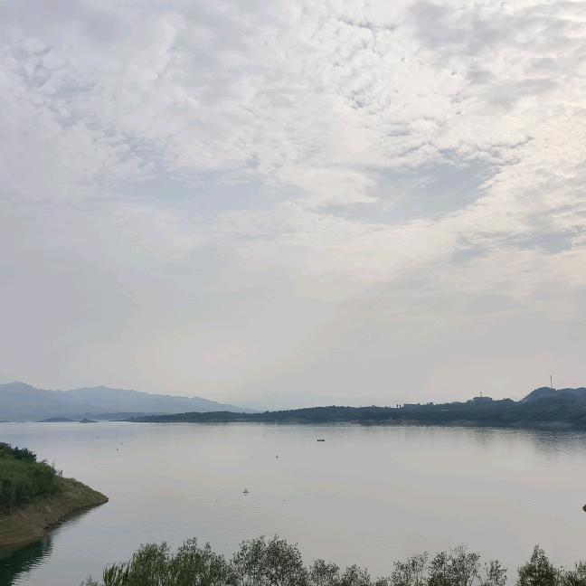 岩岩
