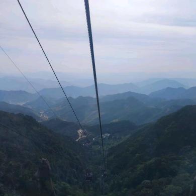 扶摇直上九万里