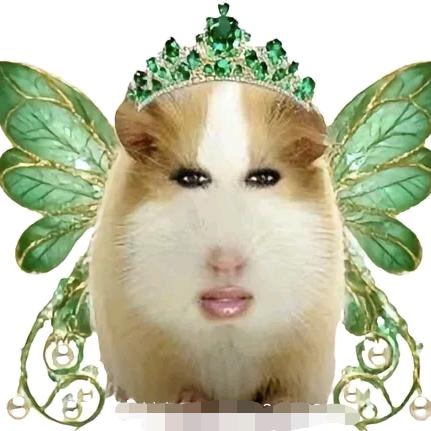 猪妞（已有闺）