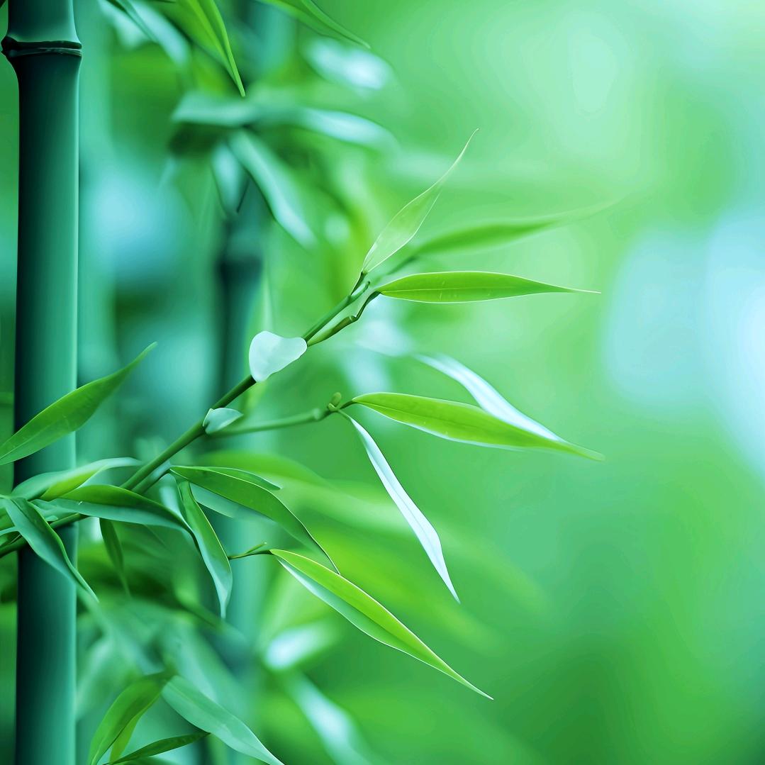 @🚬এ᭄笑敬💞过往ღ