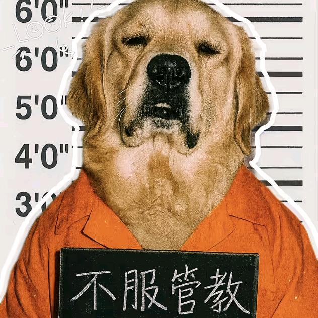 “明天见”
