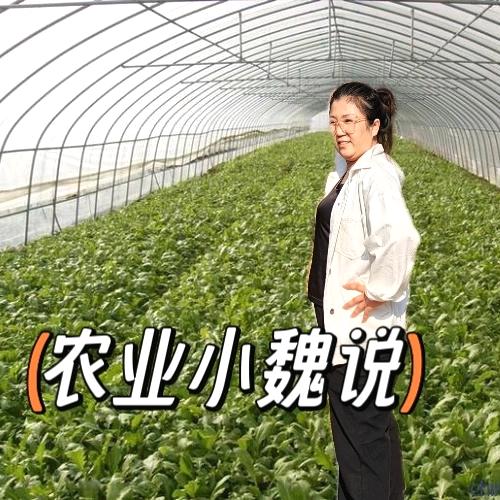 河北施雨农业有限公司