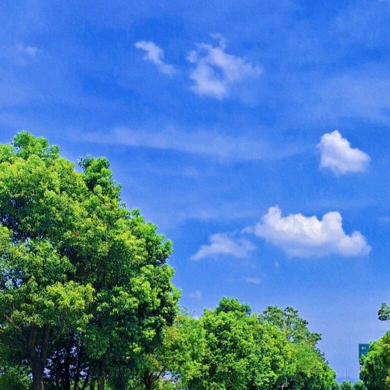 天天