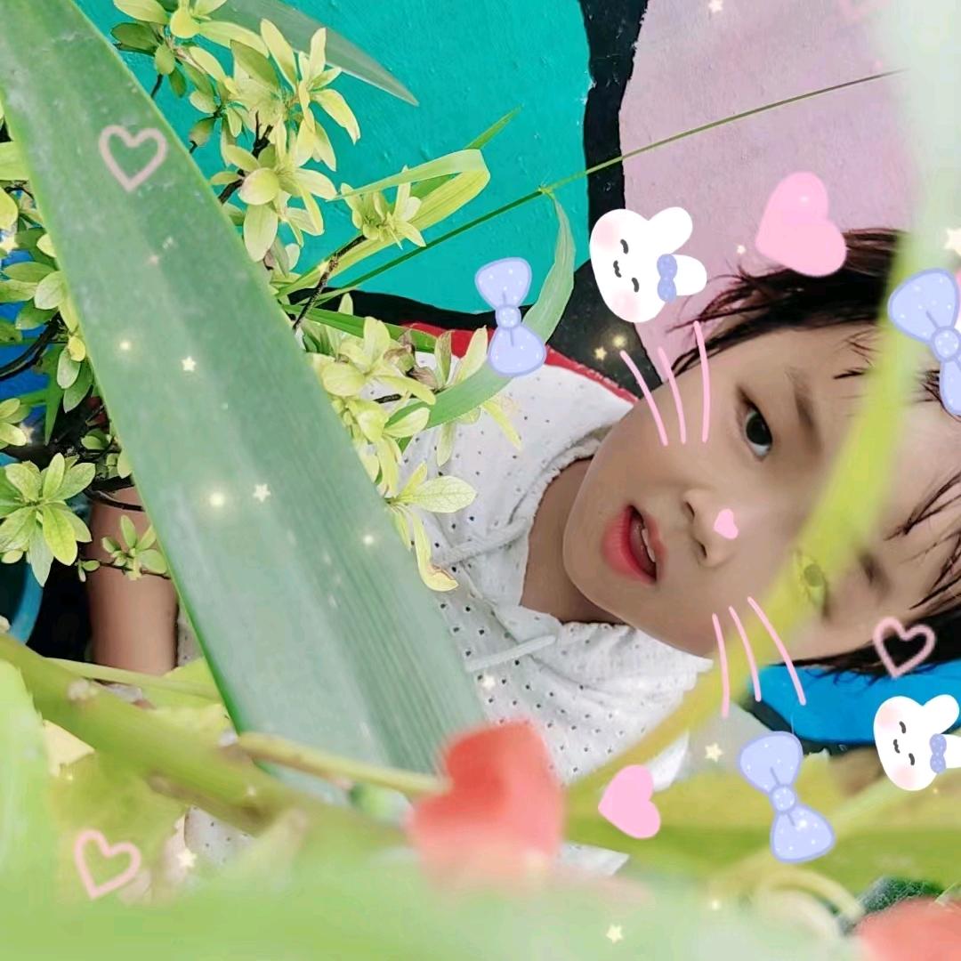 开心快乐（王）