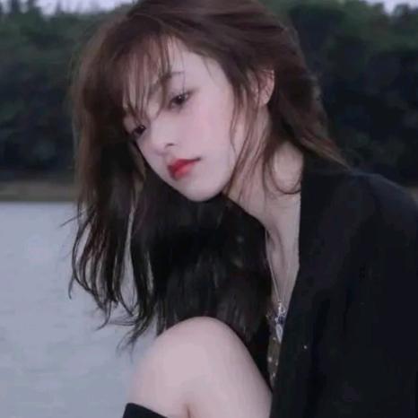 你的小刺猬