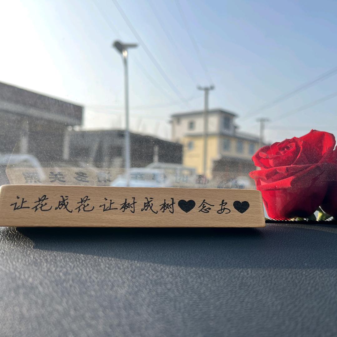念安·