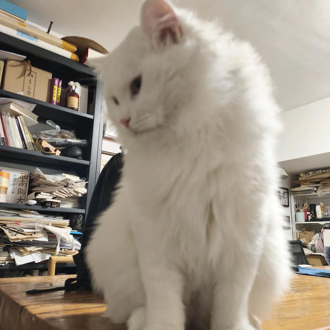 奂美深化设计（骰子）