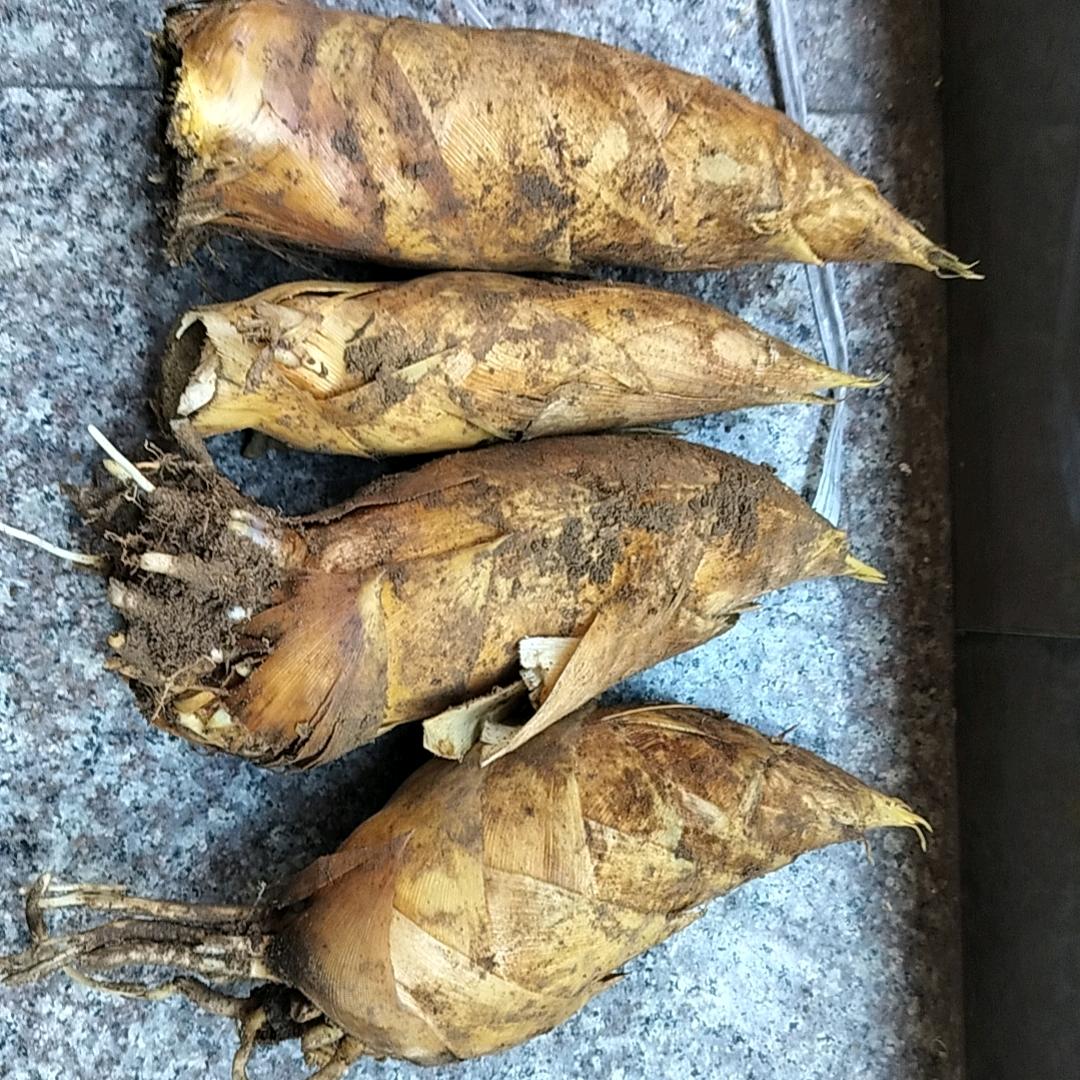 ，，，，，，，