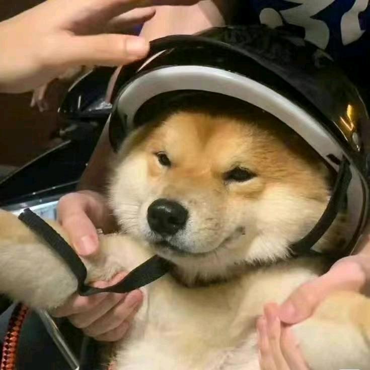 荷包蛋