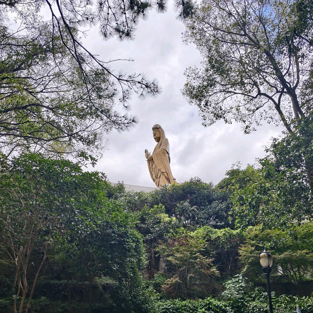 药都之乡