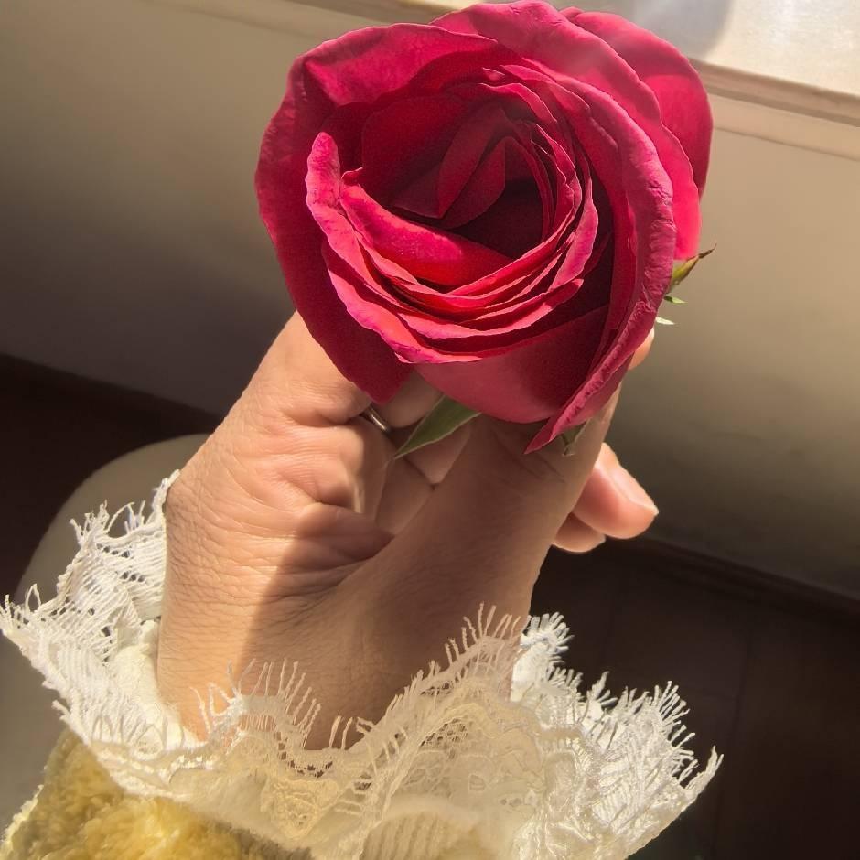 🌺硪心💕依旧💕