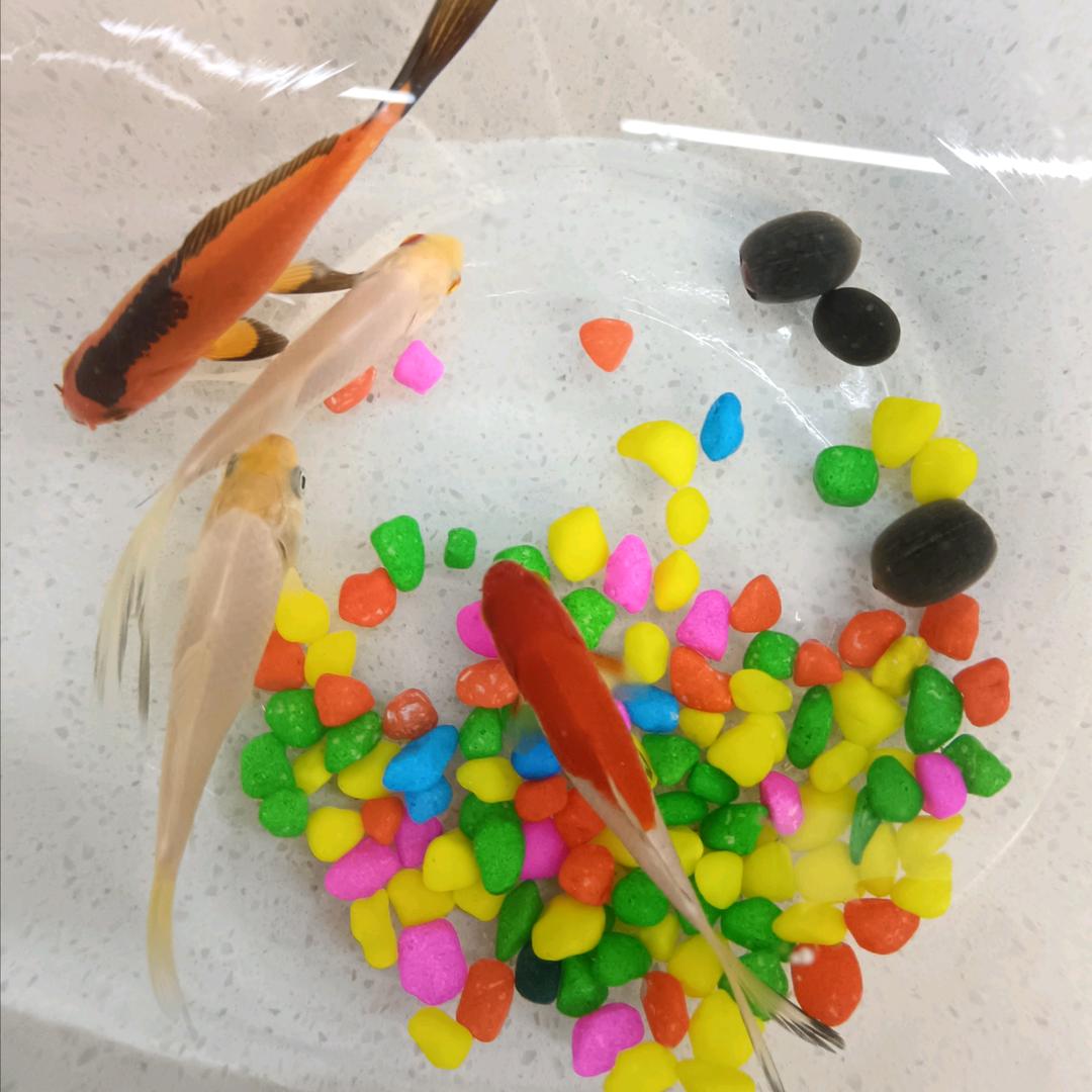 阳光刚刚好