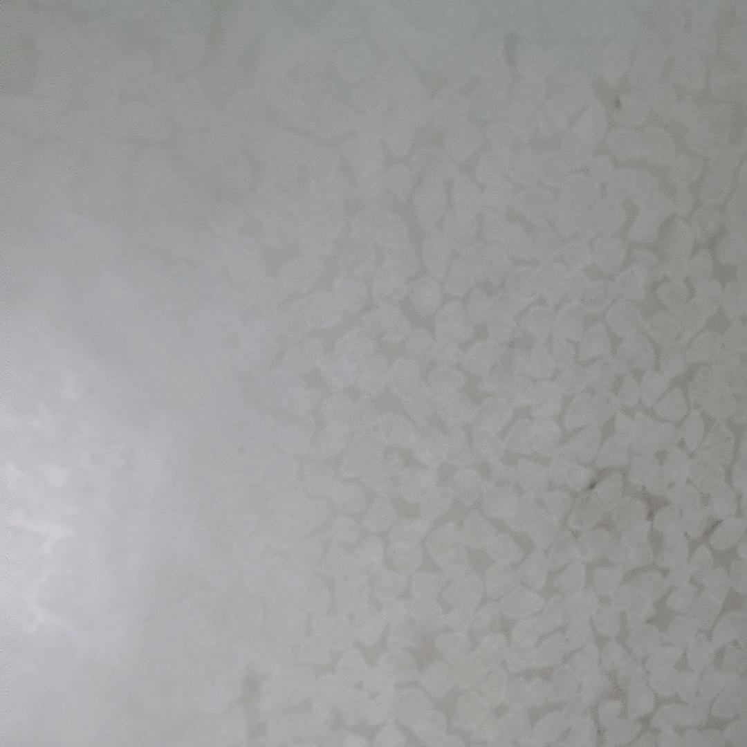 虫子的摆摊日记