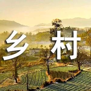莒地乡村行