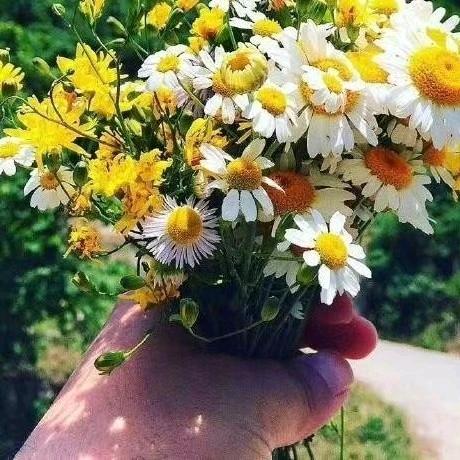 哇哒（霉菌HPV已上岸）芳芳在置顶
