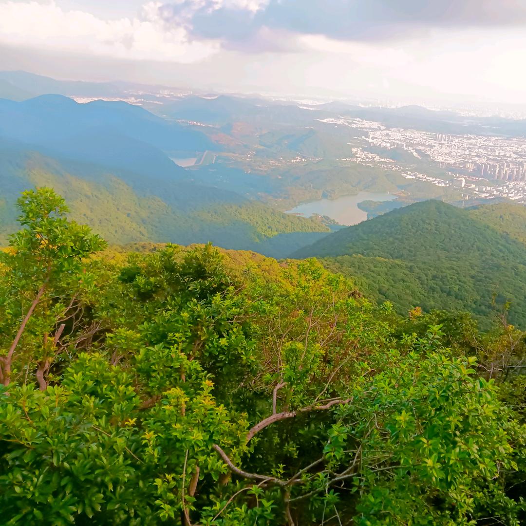 cunese（念旧）