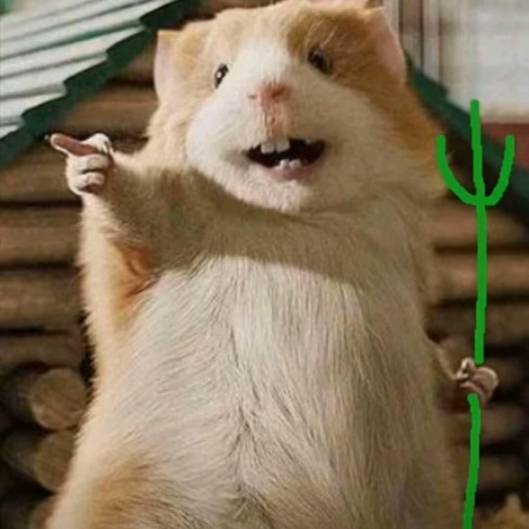 奕辰