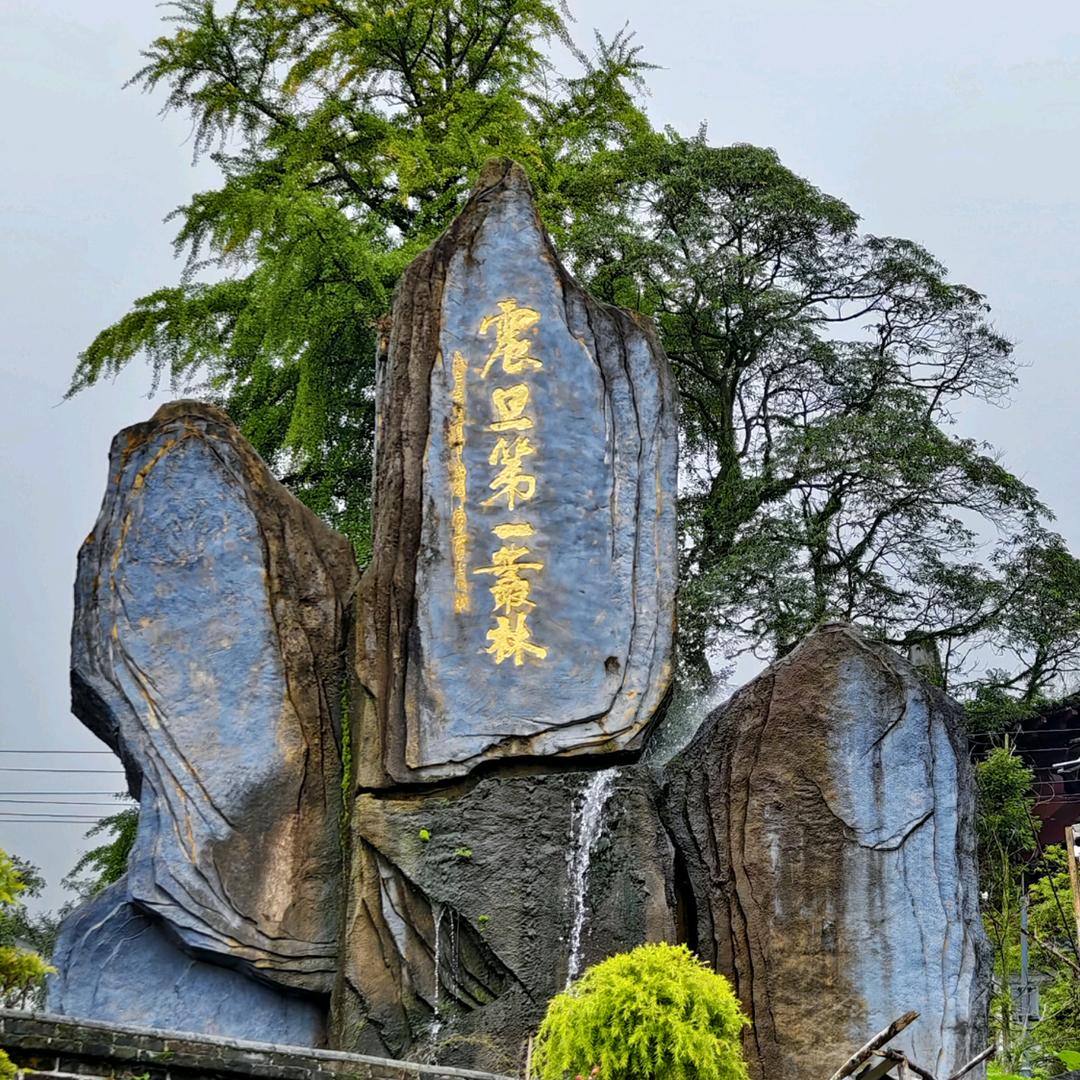 天下无双地雾中第一山