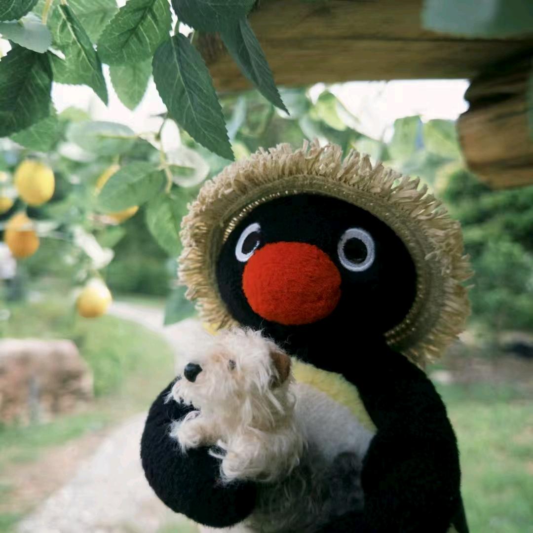 又酸又菜又多鱼