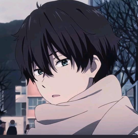 然悦喜湖禾果树苗木专卖店