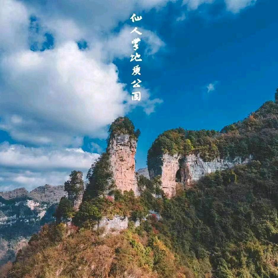 麻英仙人掌地质公园