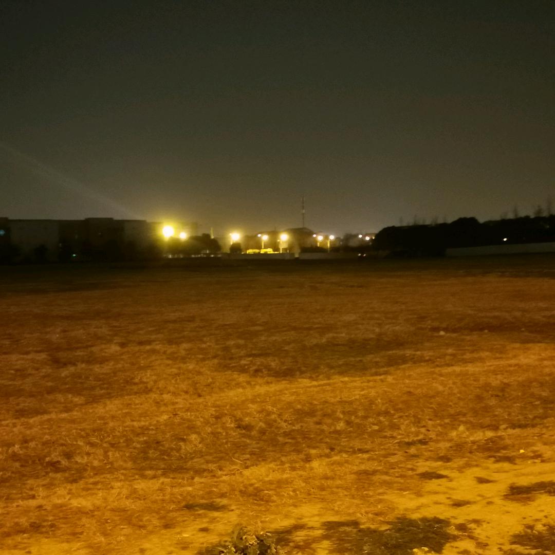 风枝丫