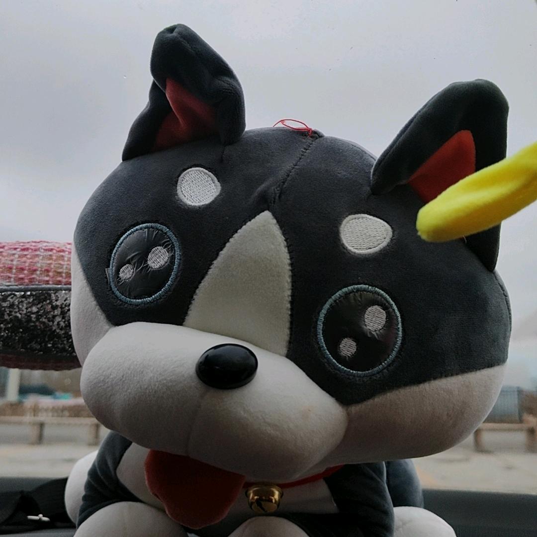 甜果冻