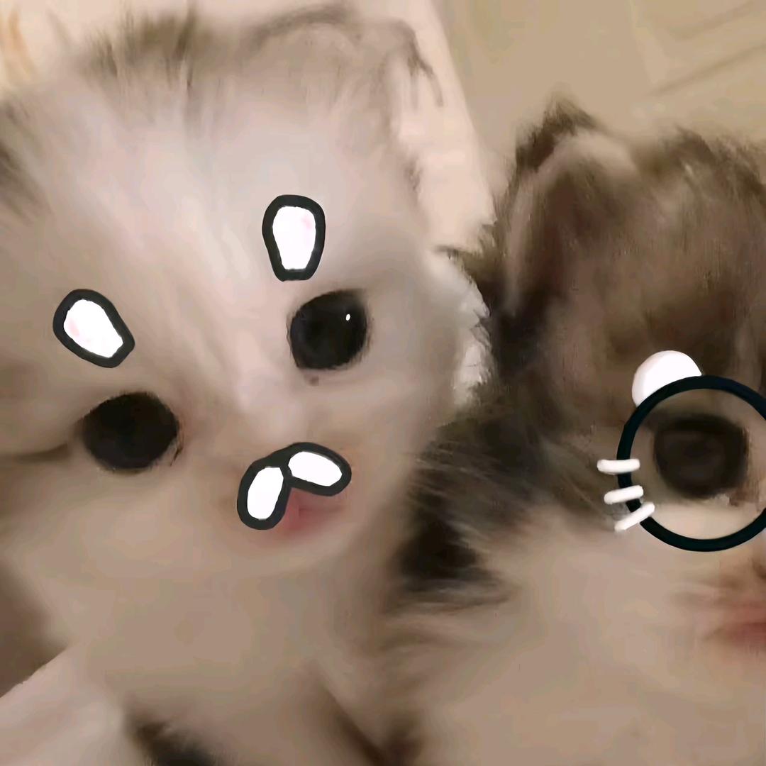 豪