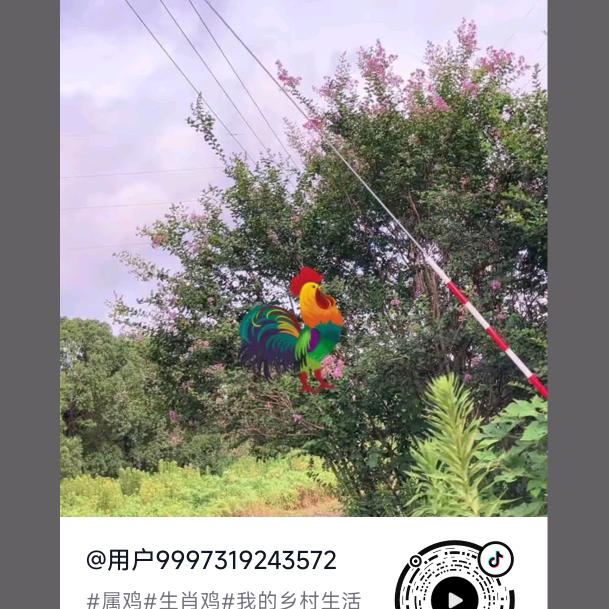 永远的永远