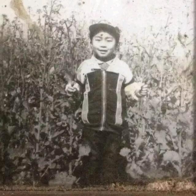 台州老陈在云南搬砖