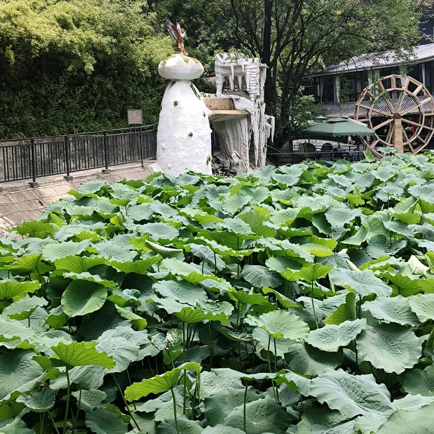 @农业开拓者@