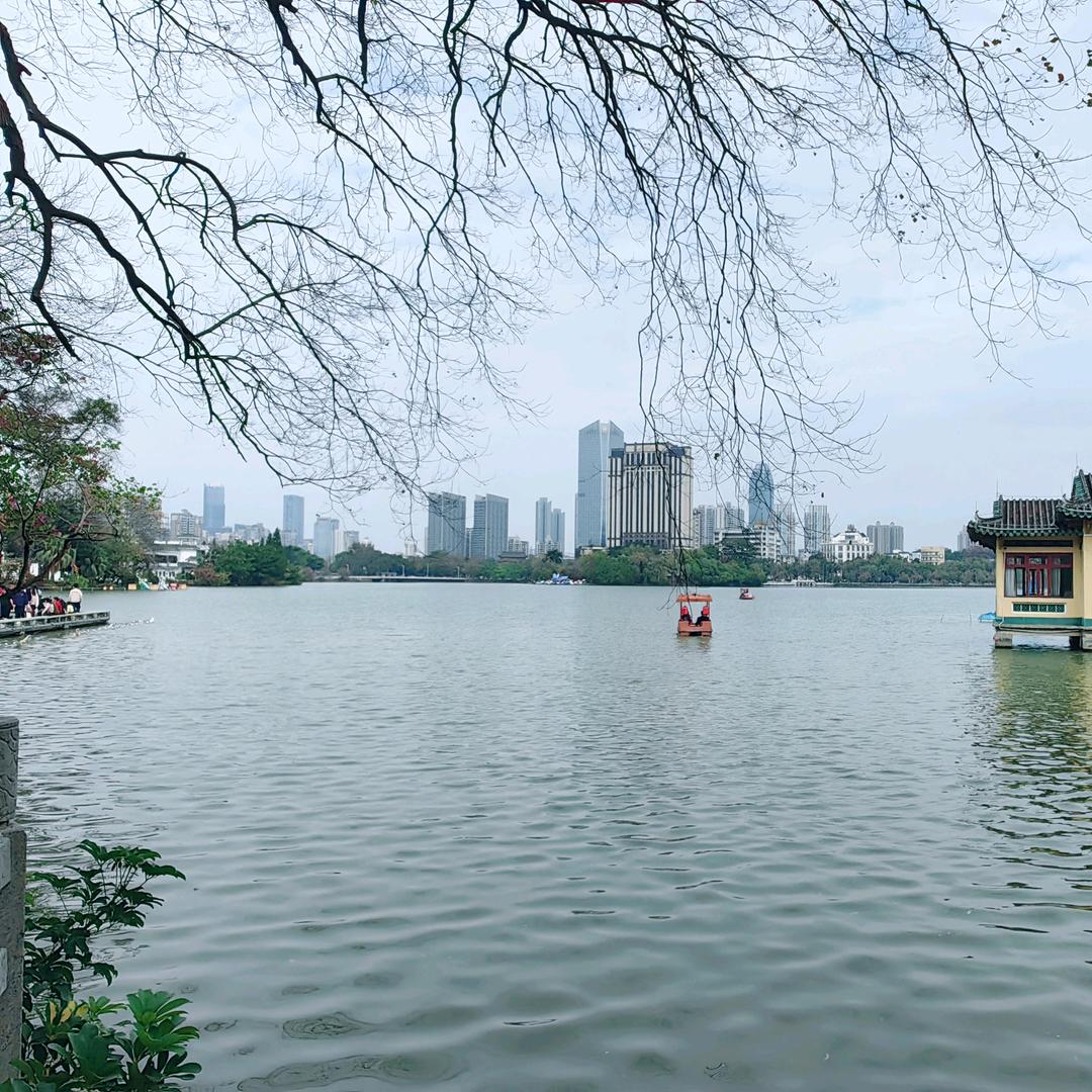 浅酌时光