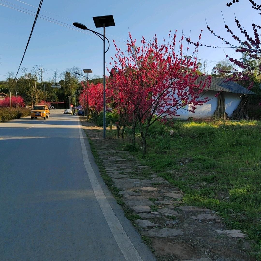 心如寒冰