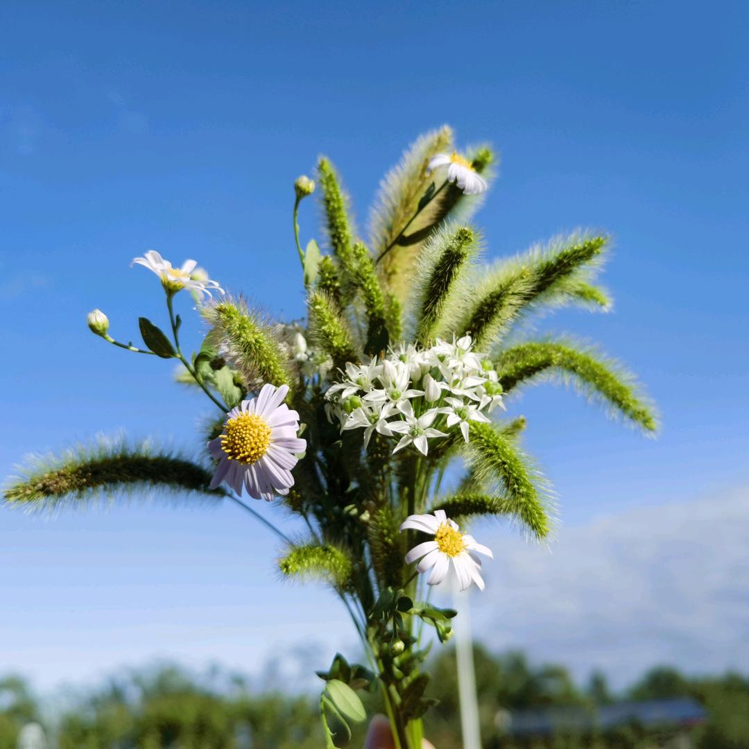 排垭九哥垂钓园     🐡与🌧