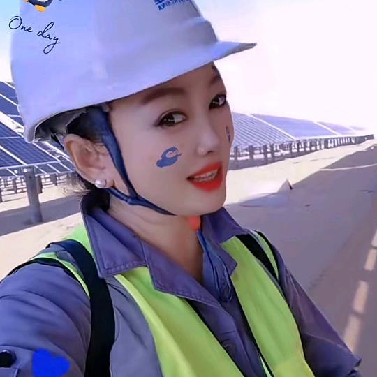 🌸光伏人🌺平凡娜姐