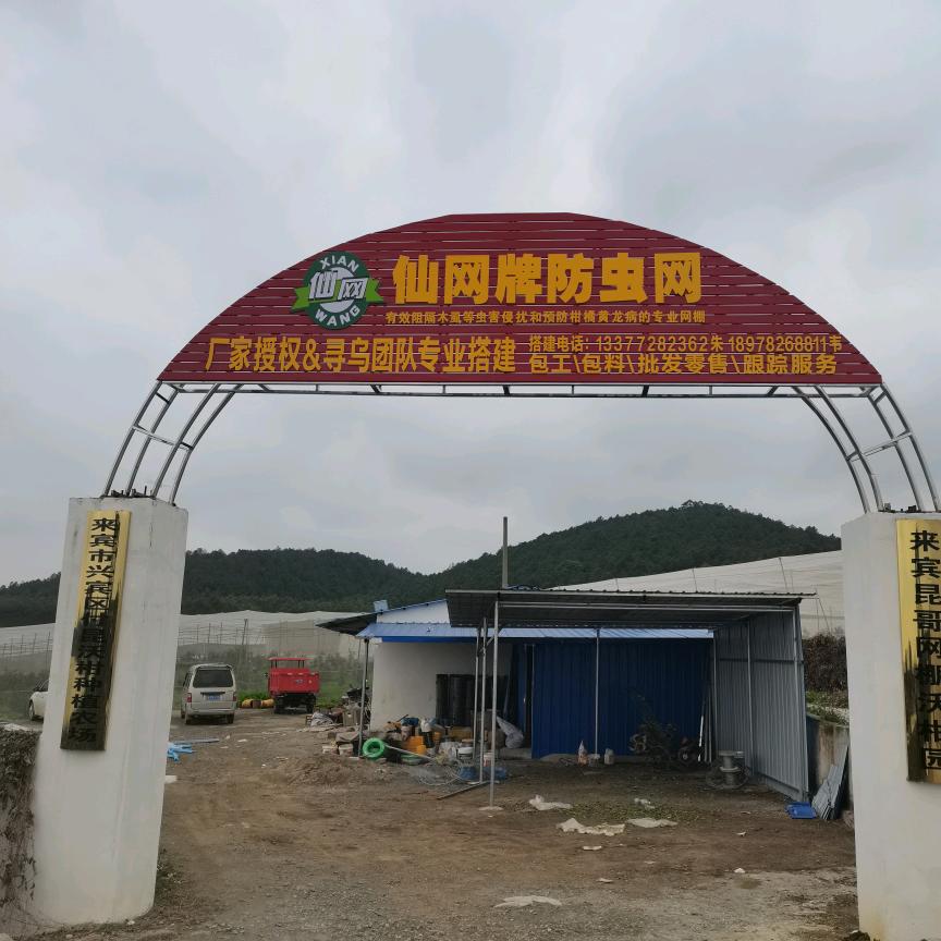 柑橘懒人丰产高产模式（朱哥）