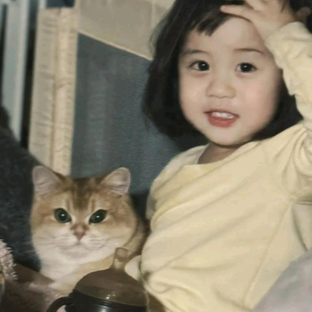 –吃肉不吃菜–