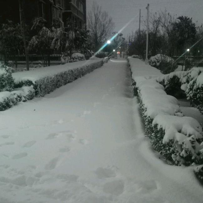 冬日的雪